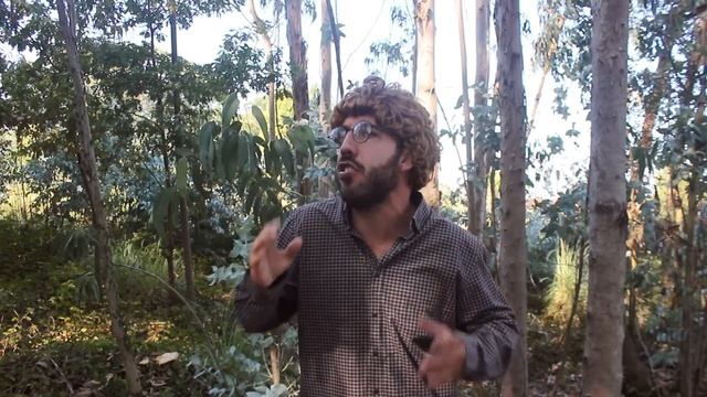 RESSACA STORIES смотреть онлайн