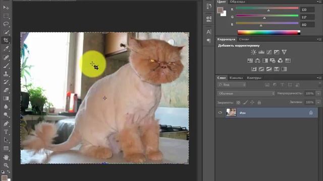 Как подготовить Картинку/Фотографию для загрузки на Сайт смотреть онлайн