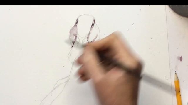 How to paint white subjects in watercolour смотреть онлайн