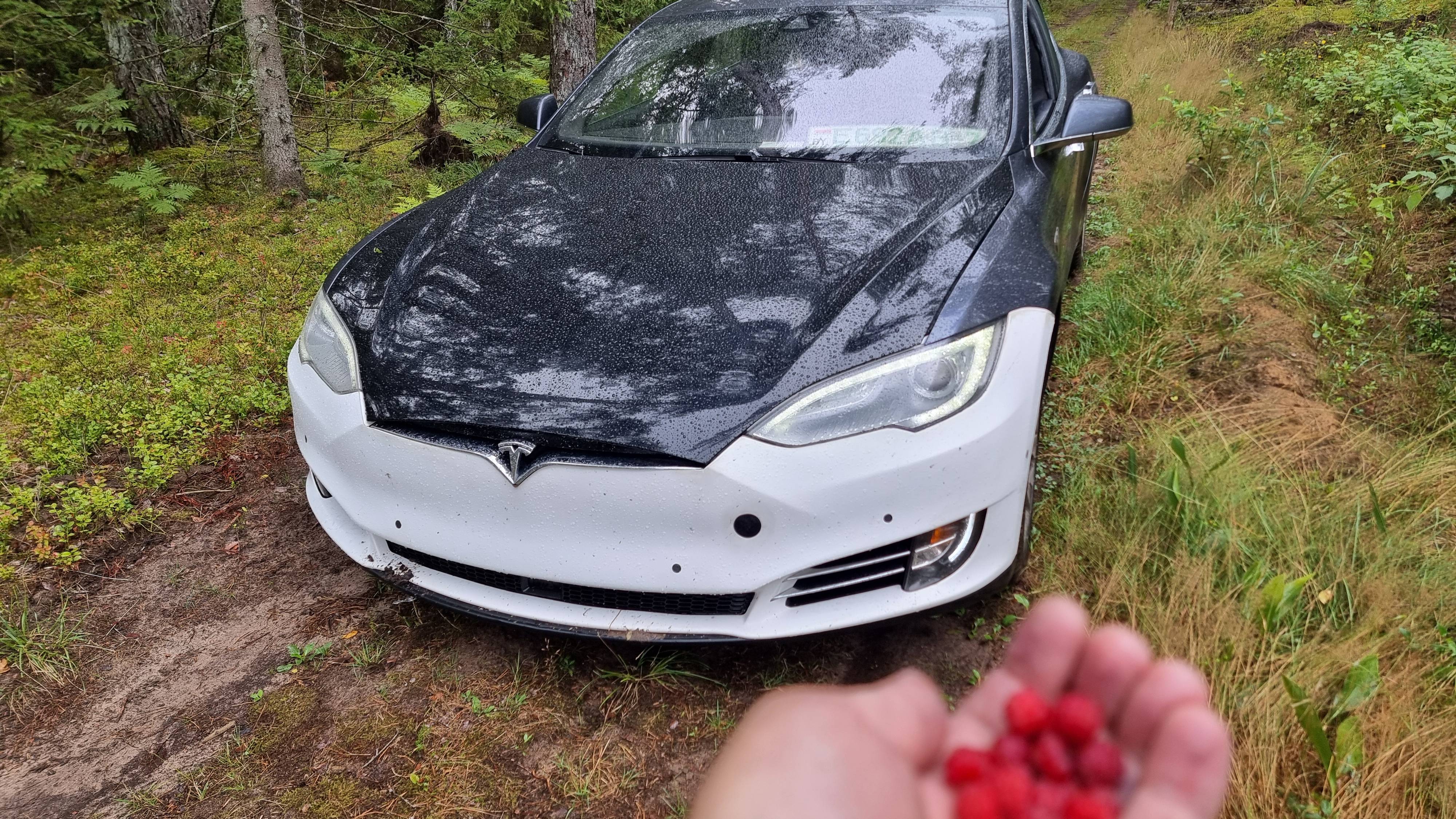Путешествие по лесам вокруг д.Ливье, Беларусь на Tesla Model S P85d 20240728