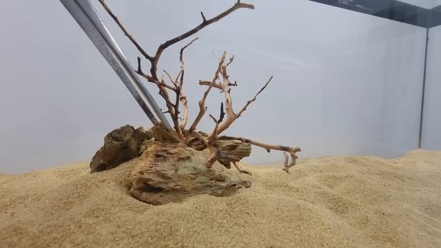 ПУСТЫНЯ В ТЕРРАРИУМЕ. КАК МЫ СОЗДАЛИ УНИКАЛЬНЫЙ ФОРМИКАРИЙ ДЛЯ МУРАВЬЁВ ЖНЕЦОВ. смотреть онлайн