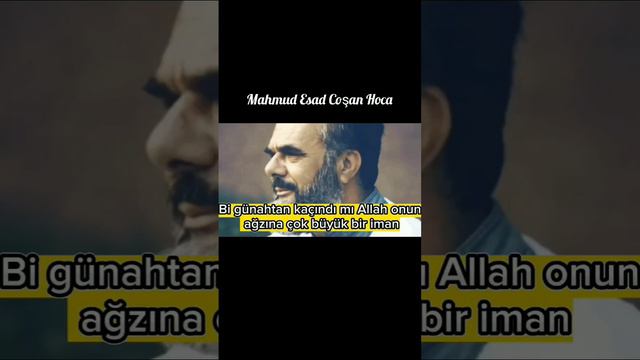 İbadetten niye zevk alınamaz? Mahmud Esad Coşan Hoca #ibadet #amel #ihlas смотреть онлайн