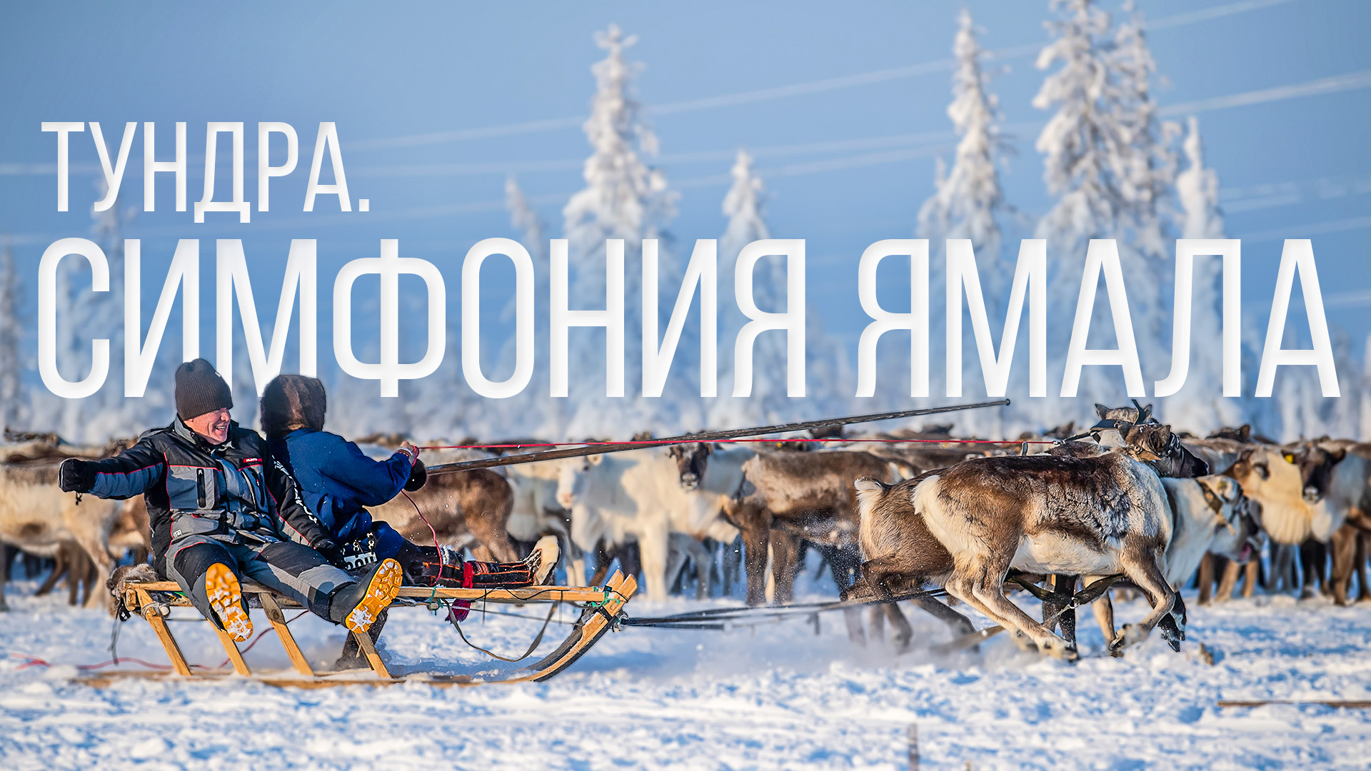 Тундра. Симфония Ямала смотреть онлайн
