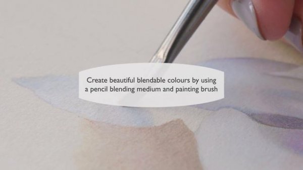 NEW Derwent Lightfast pencils