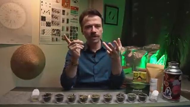Зелёный чай. Всё, что нужно знать перед покупкой | Art of Tea, китайский чай смотреть онлайн