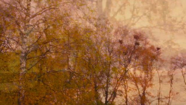 СТИХИ про ОСЕНЬ. ОЧЕНЬ КРАСИВО. АНДРЕЙ МЕРЗЛИКИН читает ЮРИЯ СТЕВОЛИНА смотреть онлайн