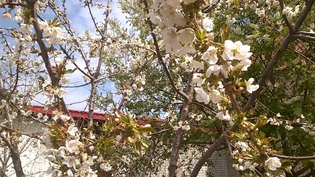 Для тех кто находится в самоизоляции смотреть онлайн