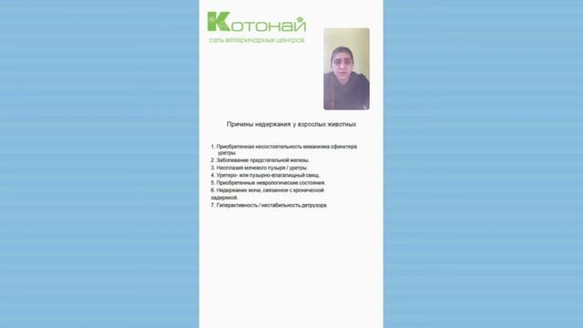 Почему происходит недержание мочи у животных смотреть онлайн