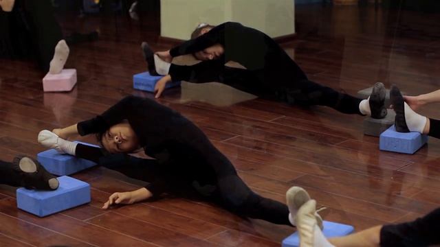 Мастер-класс Развитие хореографических данных у детей в танцевальном коллективе. смотреть онлайн