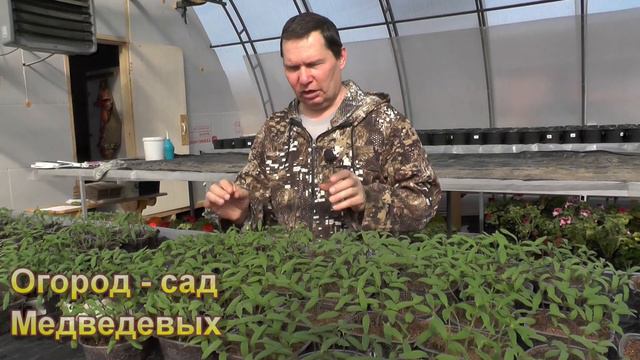 "В погоне за огородниками" смотреть онлайн