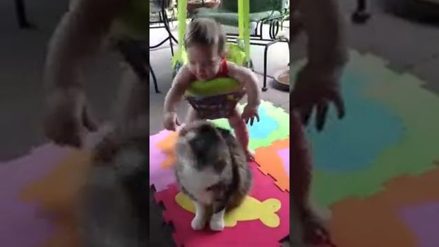 Кот воспитывает ребенка смотреть онлайн