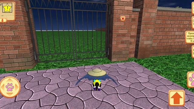 ~?Новый баг в cute pocket cat part 2!!?~"•KoBwu•" смотреть онлайн