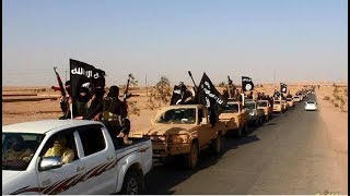 Ska IS-terrorister Få återvända Till Sverige?