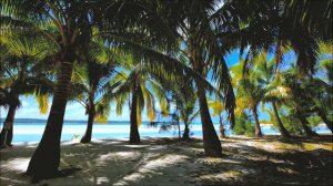 Reggae music compilation/ Регги музыка #reggae #reggaeton #reggaemusic #rasta #rastamusic #rastaman