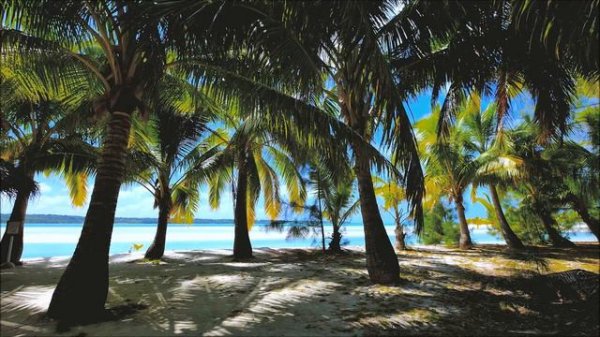 Reggae music compilation/ Регги музыка #reggae #reggaeton #reggaemusic #rasta #rastamusic #rastaman