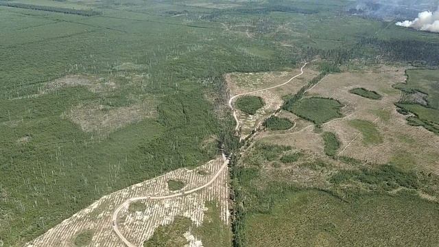 Тушение пожара одиночно смотреть онлайн