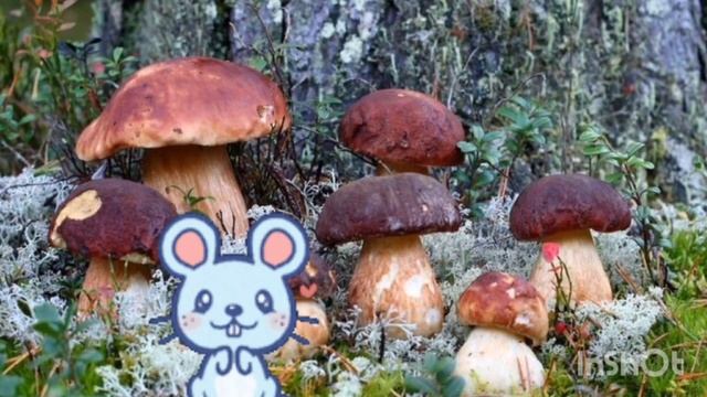 Художньо-продуктивне образотворення (аплікація) у молодшій групі "Гриби". смотреть онлайн