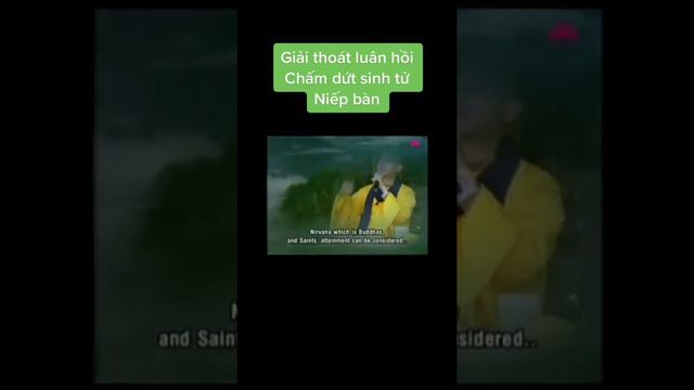 Giải thoát luân hồi tái sinh niết bàn #thaythichchanquang #short #luanhoi #nietban #taisinh смотреть онлайн