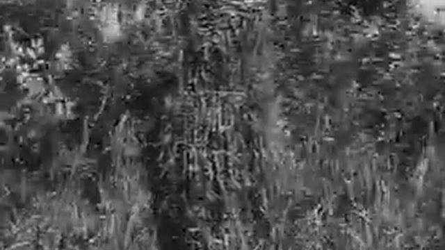 Немецкая школа снайперов часть 3.mpg