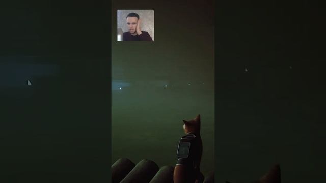 КАК ЛЕГКО ВСПОМНИТЬ ЗАБЫТОЕ СЛОВО смотреть онлайн