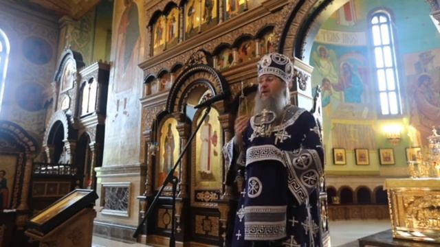 Что нужно делать когда понимаешь что погибаешь? Проповедь в Неделю 9-ю по Пятидесятнице. смотреть онлайн