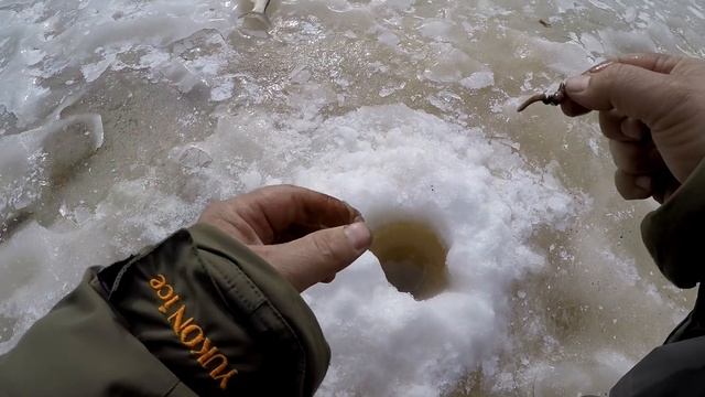 Если устали руки! Ловите ногами!!! Крупный язь и окунь на таёжной реке! смотреть онлайн