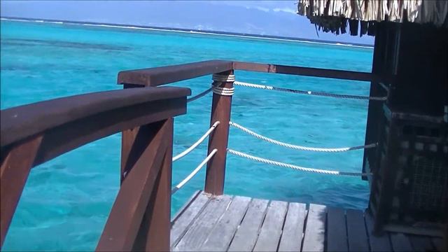 Horizon View Overwater Bungalow #218 at Sofitel Kia Ora Moorea Beach Resort смотреть онлайн