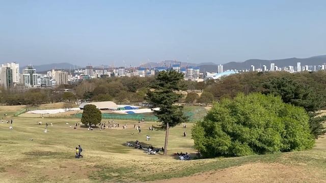 Олимпийский парк и ночная прогулка за рулем по Сеулу/KOREA VLOG смотреть онлайн