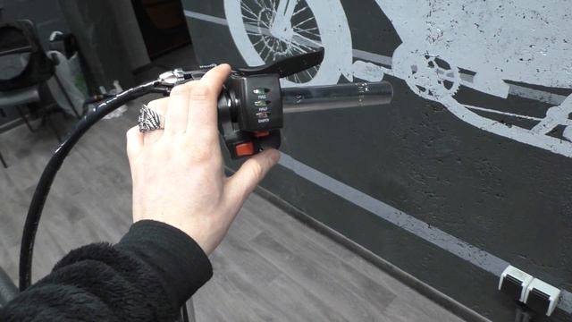 Электрификация Schwinn Stingray Spoiler electric chopper от Мегавел смотреть онлайн