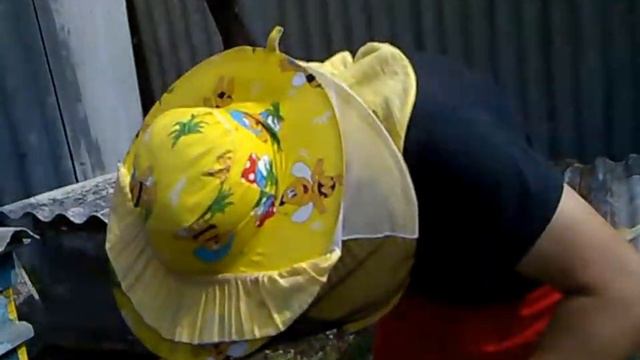 Контроль приёма плодных маток.Пчеловодство.