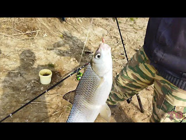НАЧАЛО ВЕСЕННЕЙ РЫБАЛКИ В АСТРАХАНИ, ТОЛЬКО ПРОВЕРКА КЛЕВА
