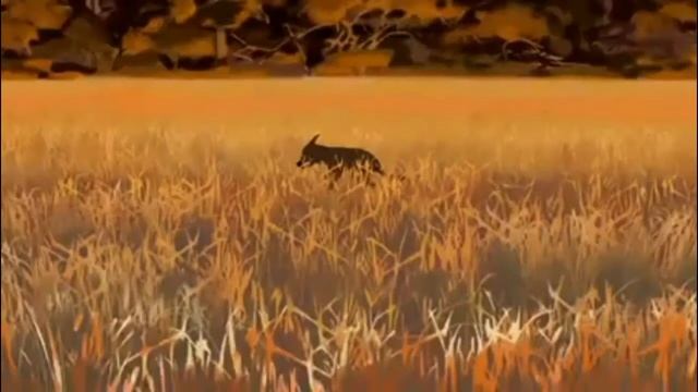 "Биско" - корма премиум класса смотреть онлайн