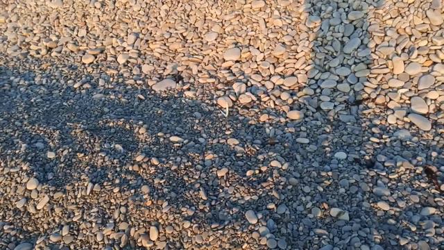 Сарган 01 января 2021 смотреть онлайн