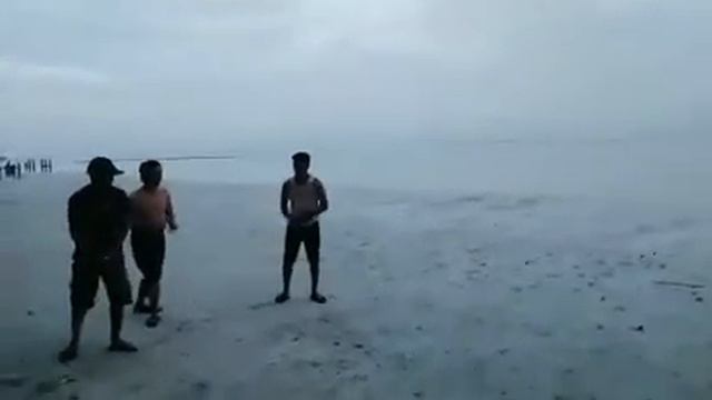 Catch My Egg Game смотреть онлайн