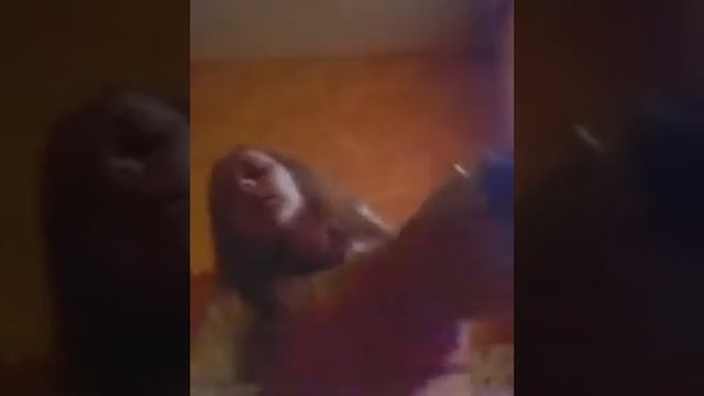 Я знаю твой телефон но никогда не позвоню!!!! смотреть онлайн