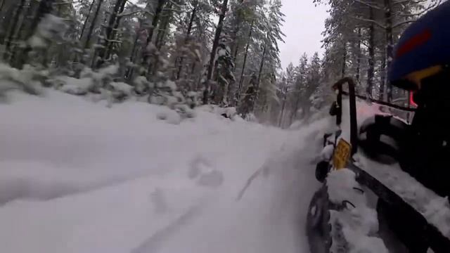 Irbis Dingo T150 смотреть онлайн