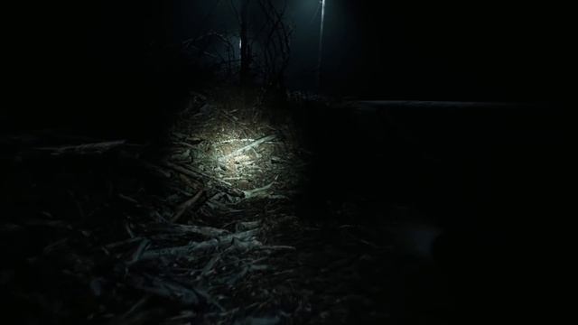 Прохождение Blair Witch (Ведьма из Блэр) — Часть 4: Лагерь смотреть онлайн