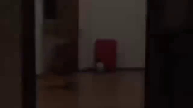 Лучшая Подборка Приколов и Неудач YouTube 2015 копия смотреть онлайн