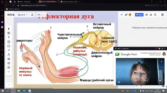 Рефлекс смотреть онлайн