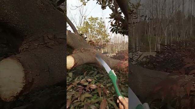 Складная пила смотреть онлайн