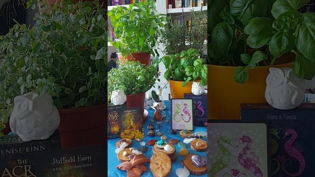 Scorpio ♏ Daffodil Fairy. Seahorse. смотреть онлайн