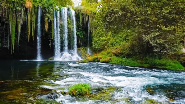 Waterfall River Nature Sounds with Beautiful Relaxing Piano Music - Water Sounds Relaxing Music