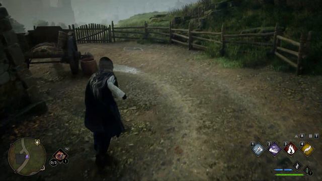 How to Get 4500 Galleons Under 5 Minutes in Hogwarts Legacy смотреть онлайн