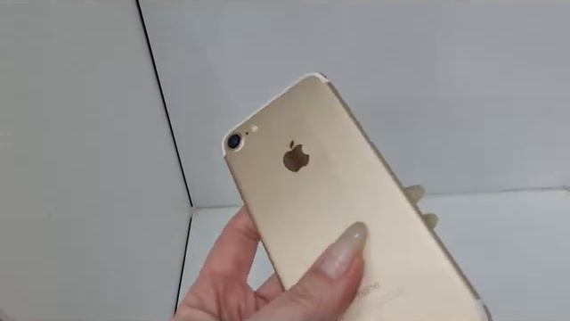 Видео №280541