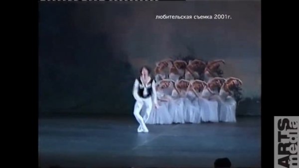 PRO-BALLET-part#10-Chopiniana-Nikolay Tsiskaridze -english subtitles-  ニコライ・ツィスカリーゼ