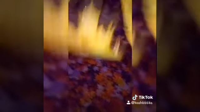 Моя родина здесь? смотреть онлайн