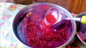 Как у нас получился смородиновый джем? Рыбалка и супер мясорубка.