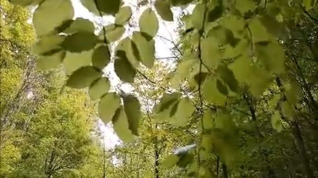 Творческий Подход