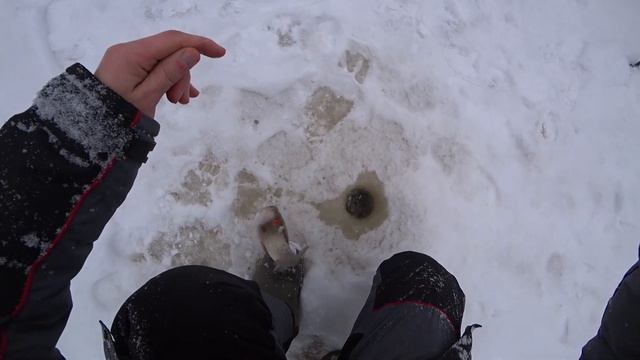 Хариус на мормышку. Лесная река. Рыбалка в тайге. смотреть онлайн