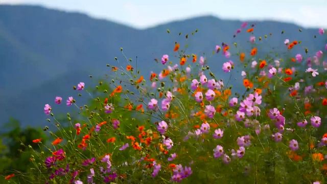 Омар Хайям - Мудрые стихи о жизни смотреть онлайн